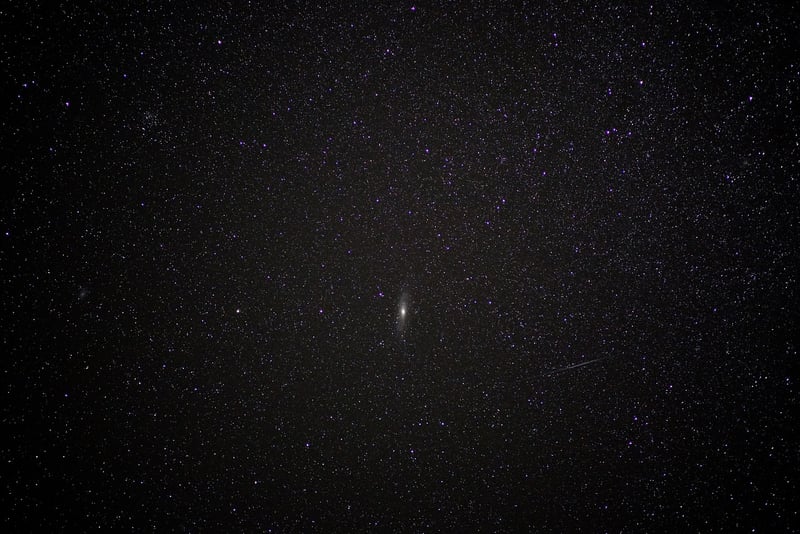 Cosmic Favors
